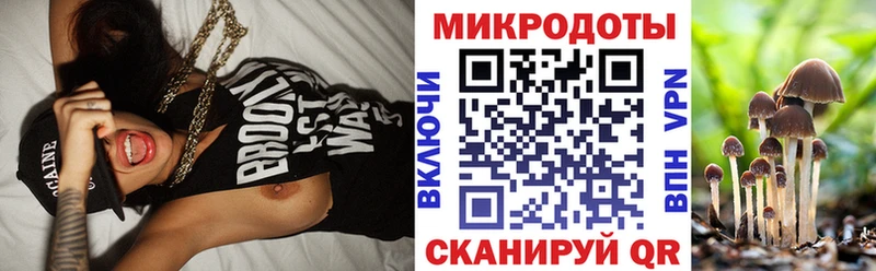 Псилоцибиновые грибы MAGIC MUSHROOMS  даркнет сайт  Щёлково 