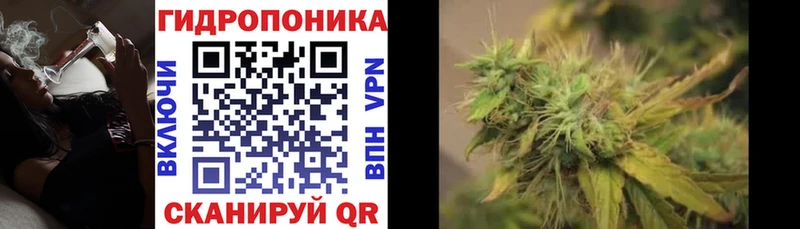 купить закладку  Щёлково  Канабис планчик 